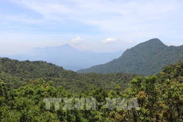 Giải ngân vốn ODA trong nông nghiệp gặp nhiều khó khăn