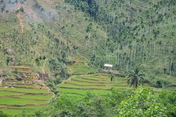 Quảng Ngãi: Người dân vùng cao lo lắng vì hiện tượng rung lắc địa chấn