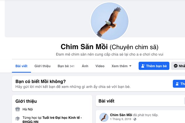 Rao bán chim săn mồi trên Facebook có vi phạm pháp luật?