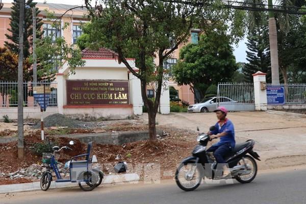 Chuyển hồ sơ vụ "đội giá" trang thiết bị bảo vệ rừng ở Gia Lai sang Cơ quan Cảnh sát