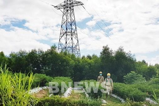 Đảm bảo vận hành an toàn lưới điện truyền tải phục vụ bầu cử Đại biểu Quốc hội và HĐND các cấp