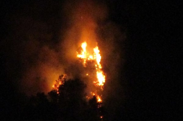 Cháy lớn tại rừng thông gần 50 năm tuổi