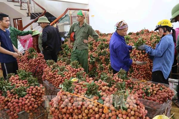 Bộ Công Thương ra công văn hỏa tốc về xuất khẩu nông sản qua biên giới