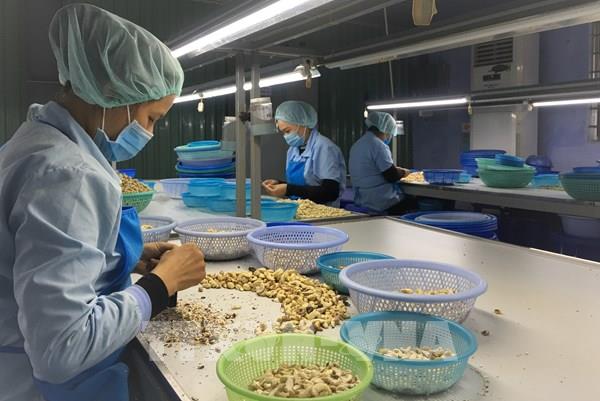 Kích hoạt giải pháp phòng, chống dịch COVID-19 ở khu công nghiệp