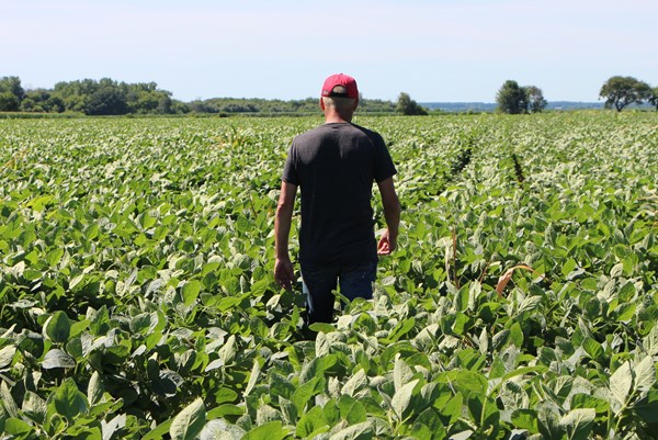 Australia xem xét nâng trần nhập cư để tăng nguồn cung lao động