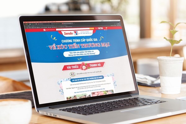 Dự kiến tiêu thụ 12 tấn vải thiều Thanh Hà trên sàn Sendo