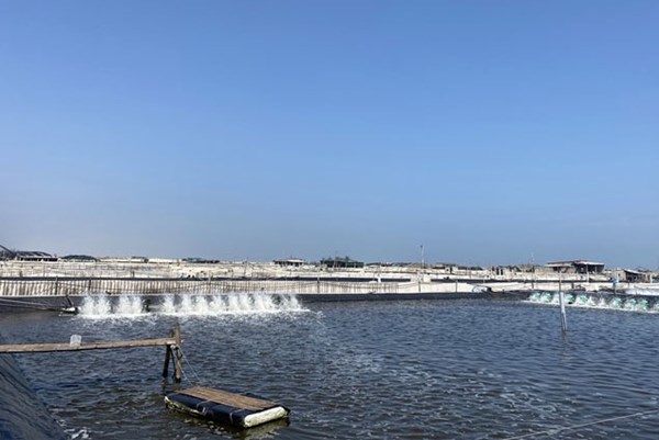 Quảng Bình cấp điện ổn định cho khu vực nuôi trồng thủy sản trên cát