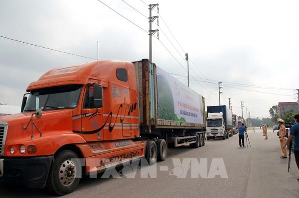 Tiêu thụ vải thiều ở Nhật Bản thuận lợi bất chấp dịch COVID-19