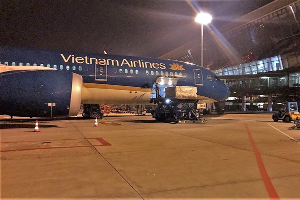 Gần 10 tấn vải thiều Bắc Giang đầu tiên sang Nhật theo đường hàng không