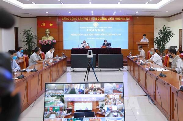 Tiêm phòng vaccine viêm da nổi cục sớm cho gia súc