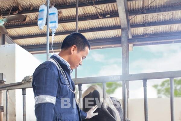 Cô Gái Hà Lan áp dụng thành công 20 phút "vàng" vào quy trình sản xuất