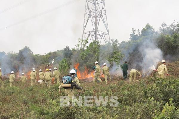 Chủ động phòng chống cháy rừng trong mùa khô 2021