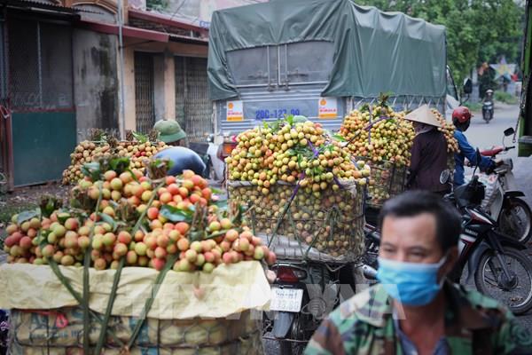Thủ tướng chỉ đạo tháo gỡ cho Bắc Giang trong việc tiêu thụ nông sản