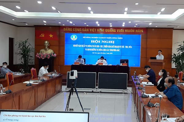 Sản lượng lúa Đông Xuân 2020-2021 ở phía Bắc đạt kỷ lục