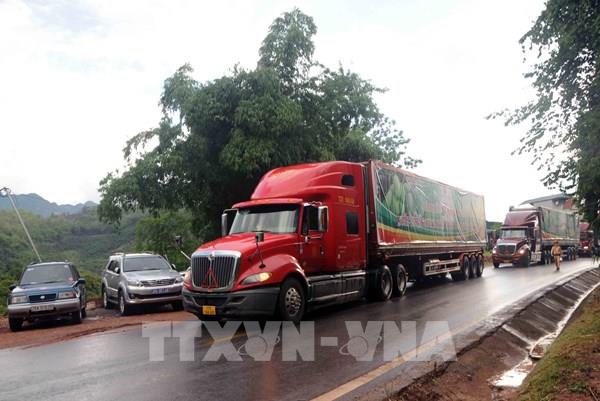 Bộ Giao thông Vận tải lập 4 tổ kiểm tra thực hiện “luồng xanh” vận tải vùng dịch COVID-19