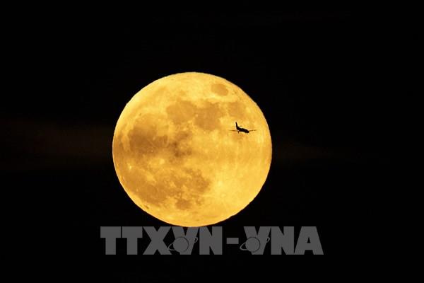 Tổng hợp sự kiện quốc tế nổi bật trong tuần qua ảnh từ ngày 24-30/5