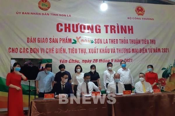 Mận hậu, xoài tròn Yên Châu chính thức có mặt trên sàn thương mại điện tử