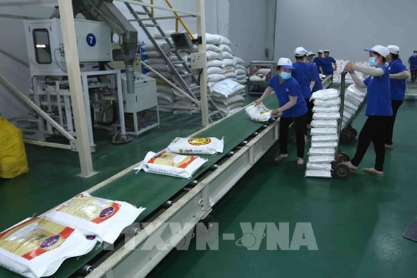 Cần Thơ: Vì sao tỷ lệ doanh nghiệp rút lui khỏi thị trường còn cao?