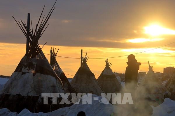 Cuộc sống du mục của trẻ em dân tộc Nenets vùng cực bắc Nga