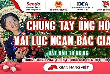 6 sàn thương mại điện tử chung tay hỗ trợ tiêu thụ vải thiều Bắc Giang
