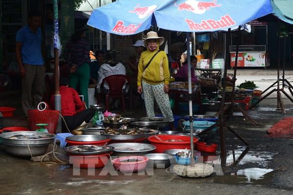 Triển khai các biện pháp bảo đảm an toàn thực phẩm