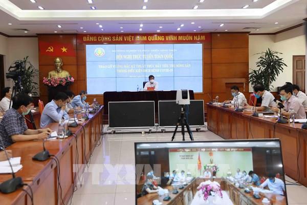 Tháo gỡ vướng mắc kỹ thuật thúc đẩy tiêu thụ nông sản