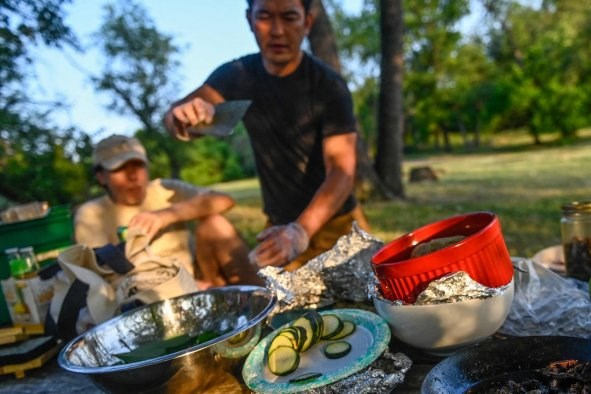 Dân Mỹ đổ xô đi bắt ve sau khi nếm món sushi ve chiên giòn