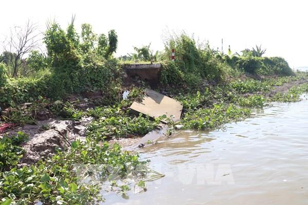 Bến Tre: Kè chống sạt lở cồn Phú Đa chưa nghiệm thu đã "sạt lở"