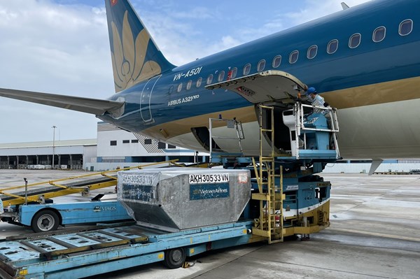 Vietnam Airlines hỗ trợ đưa máy X-Quang Nhật Bản tích hợp trí tuệ nhân tạo vào chống dịch