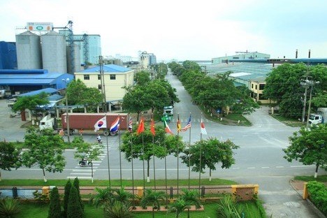 Viglacera tăng lợi nhuận hợp nhất thêm 350 tỷ đồng