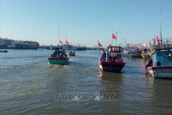 Bà Rịa-Vũng Tàu có 8 cảng cá đủ hệ thống xác nhận nguồn gốc thủy sản