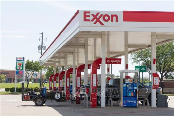 Một mùa Hè dự báo có nhiều biến động trên thị trường “vàng đen"