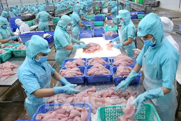 Xuất khẩu thủy sản tiếp đà giảm, khả năng phục hồi chậm