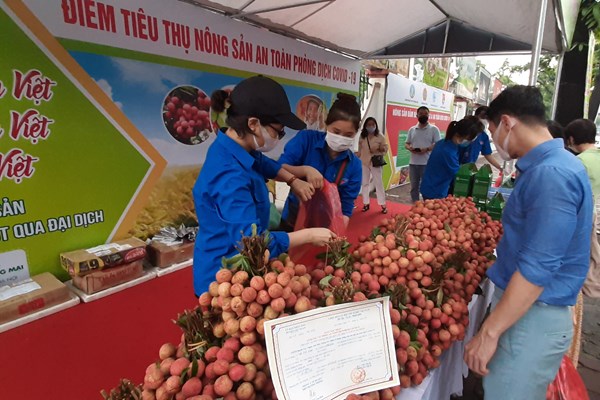 Khởi động các điểm hỗ trợ, kết nối tiêu thụ nông sản với sự kết hợp "4 bên"