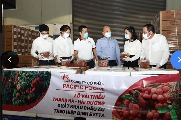 Lô vải thiều Việt Nam đầu tiên chinh phục thị trường EU theo Hiệp định EVFTA