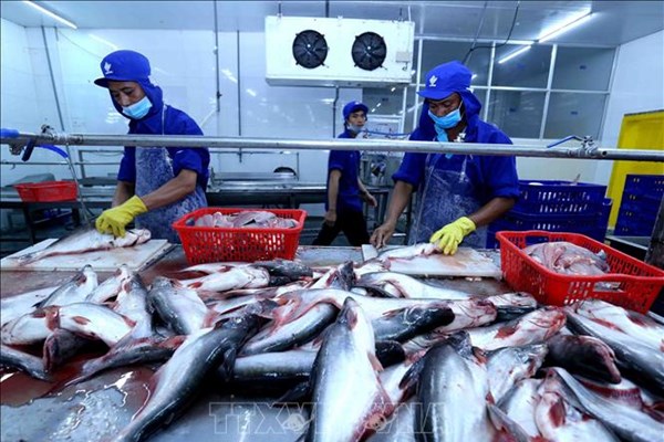 Indonesia đặt mục tiêu xuất khẩu thủy sản đạt 6,05 tỷ USD năm 2021