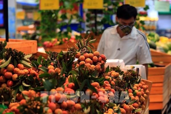 Vải thiều Bắc Giang được bảo hộ nhãn hiệu tại 8 quốc gia