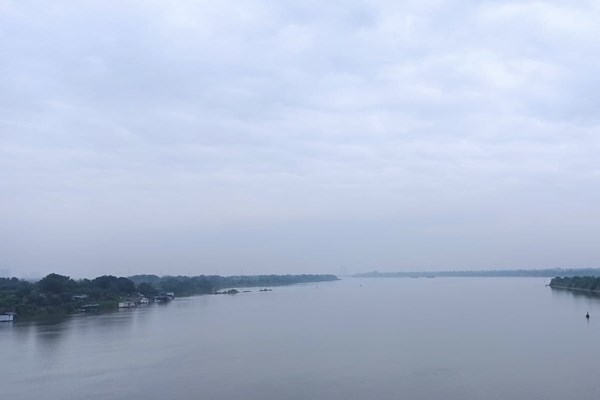 Hà Nội: Phát hiện, xử lý nghiêm một người nước ngoài trồng cần sa, tàng trữ trái phép chất ma túy