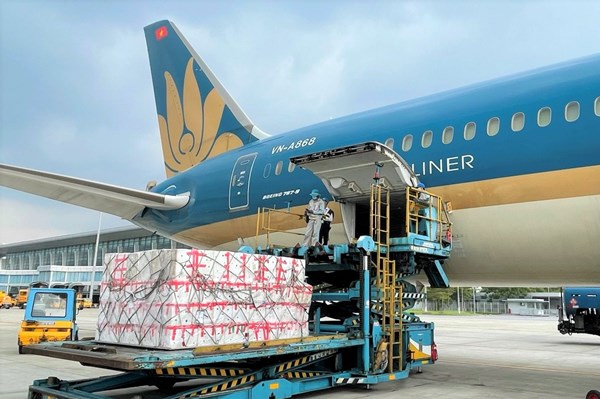 Ngày 8/6, Vietnam Airlines vận chuyển gần 100 tấn vải thiều đi TP Hồ Chí Minh
