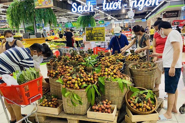 VinCommerce cam kết tiêu thụ 2.000 tấn vải thiều Lục Ngạn