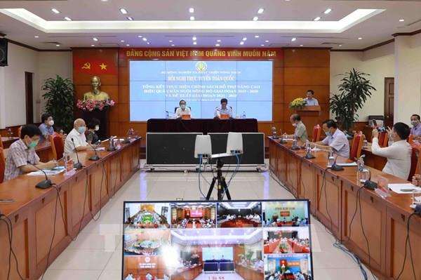 Phát triển chăn nuôi nông hộ hướng tới chuyên nghiệp 