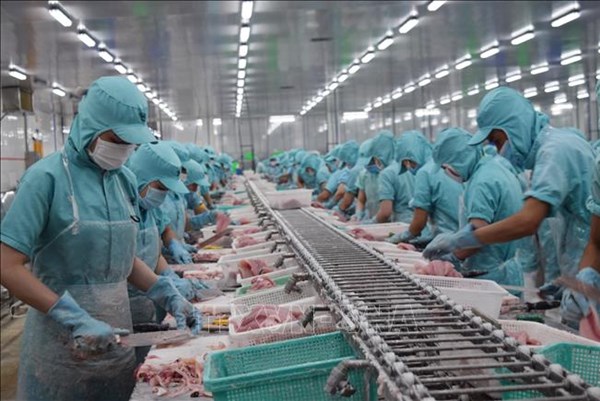 Mexico trở thành điểm sáng trong xuất khẩu cá tra