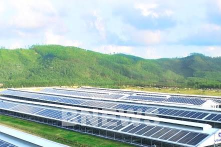 Vinamilk với chiến lược tự chủ vùng nguyên liệu