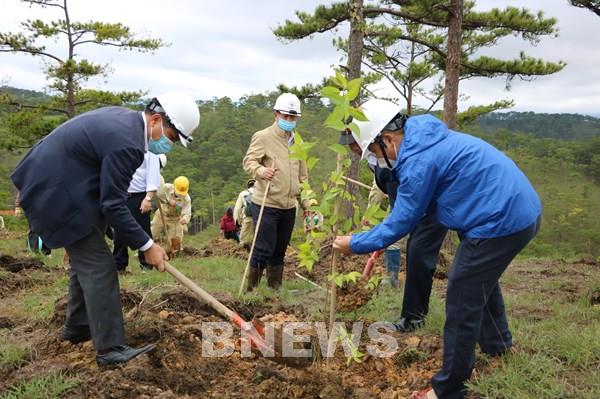 Du khách đến Đà Lạt đông nhưng không quá tải