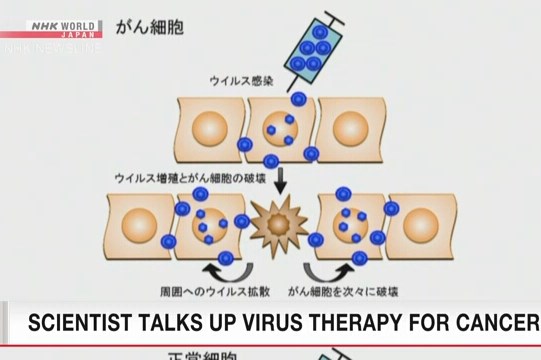 Liệu pháp mới dùng virus tấn công giúp chữa trị nhiều loại bệnh ung thư
