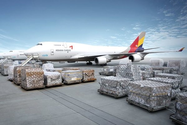 Cục Hàng không Việt Nam nói gì về việc thành lập hãng vận tải hàng hoá IPP Air Cargo?