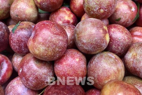 Tết Đoan Ngọ: Mâm cỗ cúng gồm những gì?