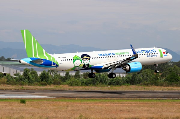 Bamboo Airways chung tay hỗ trợ vận chuyển vải thiều Bắc Giang