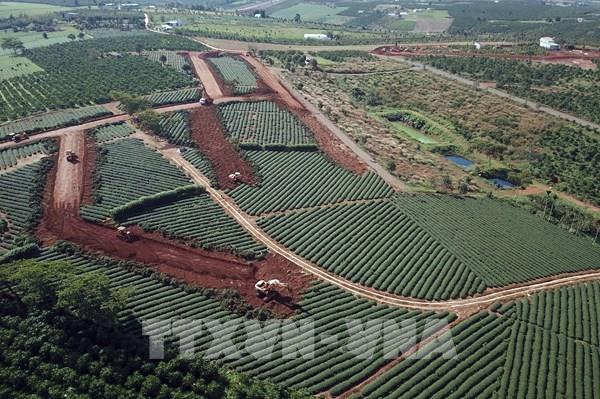 Thủ phủ chè B’Lao tan tác trong “cơn bão” bất động sản
