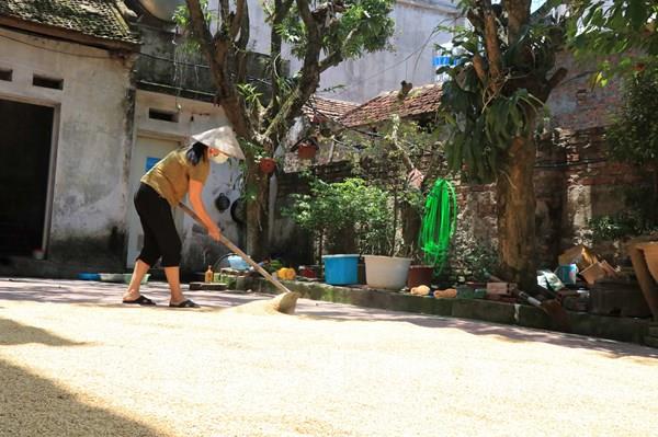 Ngày mới ở "tâm dịch" Mão Điền